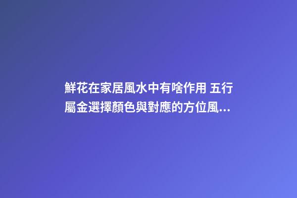 鮮花在家居風水中有啥作用 五行屬金選擇顏色與對應的方位風水有